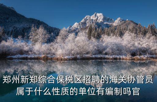 保稅區招聘，保稅區招聘上POD leader是什么意思