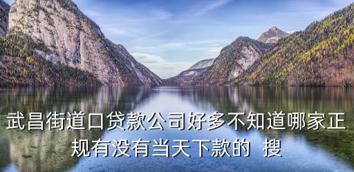 武昌街道口貸款公司好多不知道哪家正規(guī)有沒有當天下款的  搜