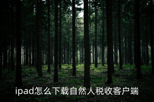 ipad怎么下載自然人稅收客戶端