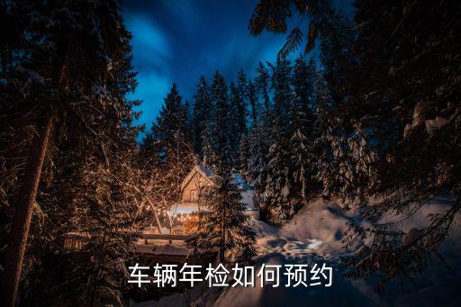 車輛年檢如何預(yù)約