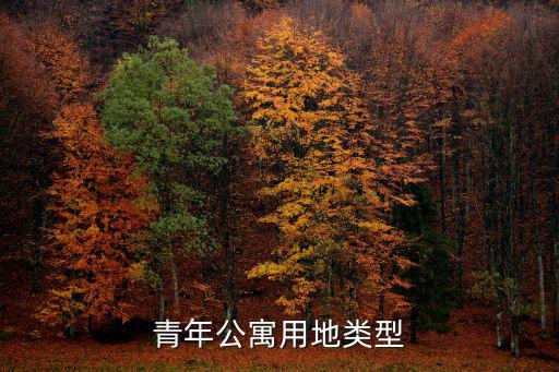 青年公寓用地類型