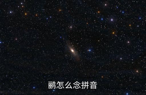 鸝怎么念拼音