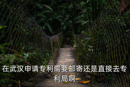在武漢申請專利需要郵寄還是直接去專利局啊