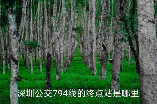 深圳公交794線的終點站是哪里