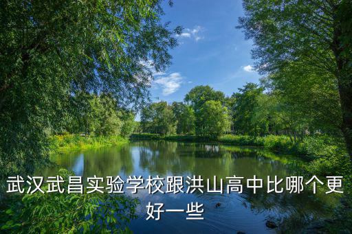 武漢武昌實驗學校跟洪山高中比哪個更好一些