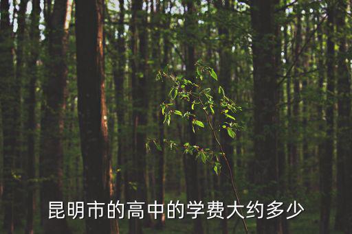 昆明市的高中的學費大約多少