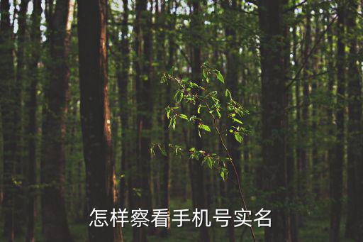怎樣察看手機號實名