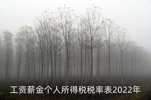 工資薪金個人所得稅稅率表2022年