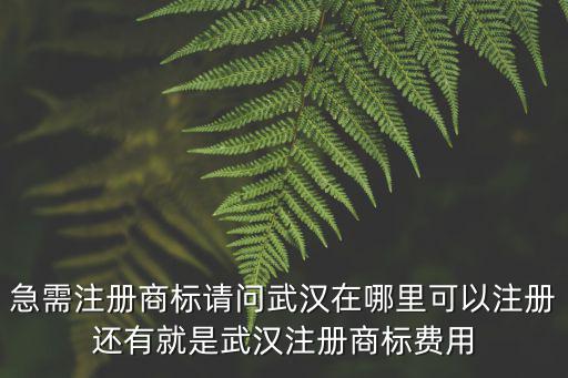 急需注冊商標請問武漢在哪里可以注冊還有就是武漢注冊商標費用