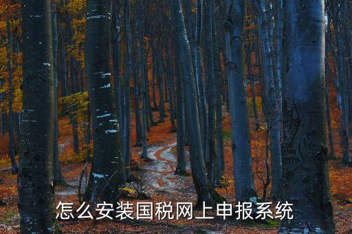 怎么安裝國稅網上申報系統