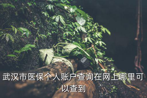 武漢市醫保個人賬戶查詢在網上哪里可以查到