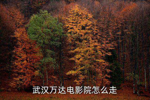 武漢萬達電影院怎么走