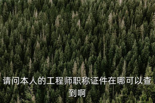 請問本人的工程師職稱證件在哪可以查到啊