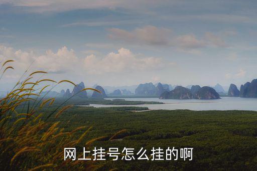 網上掛號怎么掛的啊