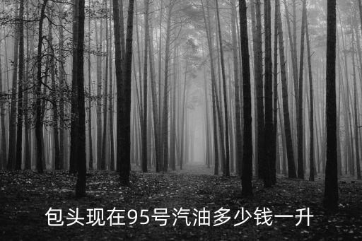 包頭現在95號汽油多少錢一升