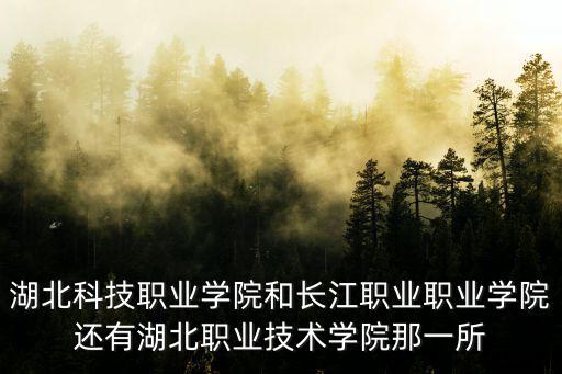 湖北科技職業學院和長江職業職業學院還有湖北職業技術學院那一所
