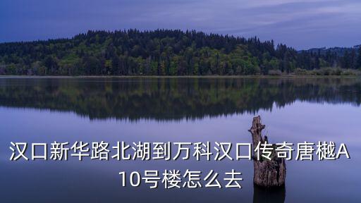 萬科漢口傳奇，選萬科漢口傳奇 唐樾和萬科漢口傳奇悅庭哪個好
