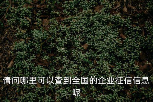 中國(guó)企業(yè)信用信息查詢系統(tǒng)，請(qǐng)問(wèn)哪里可以查到全國(guó)的企業(yè)征信信息呢