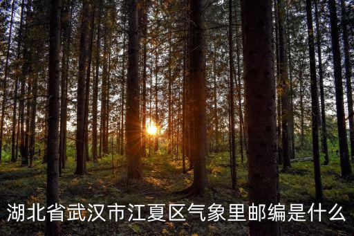 湖北省武漢市江夏區氣象里郵編是什么