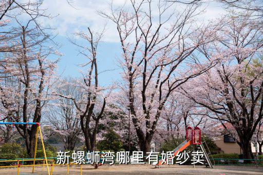新螺螄灣哪里有婚紗賣