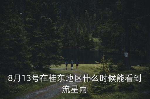 8月13號在桂東地區(qū)什么時(shí)候能看到流星雨