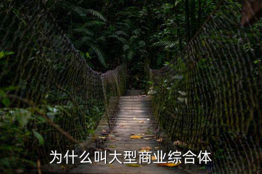 為什么叫大型商業綜合體