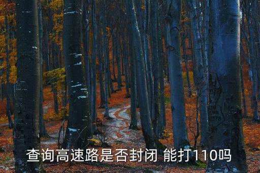 查詢高速路是否封閉 能打110嗎