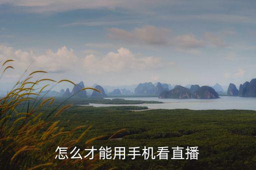 怎么才能用手機看直播