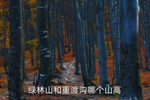 綠林山和重渡溝哪個山高