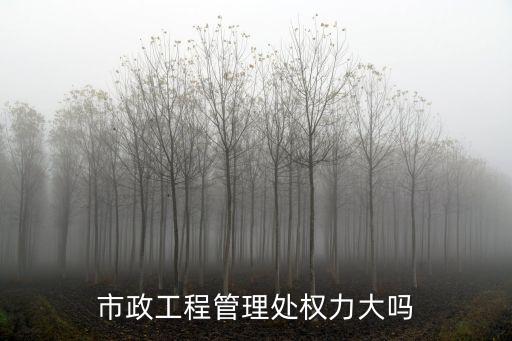 管理處，市政工程管理處權力大嗎
