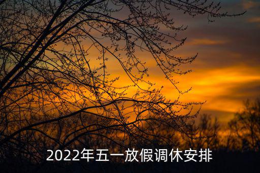 五一調休安排，請問五一節國家法定的休息日是哪天