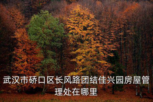 武漢市硚口區長風路團結佳興園房屋管理處在哪里