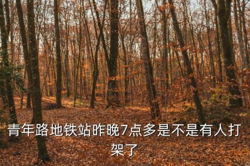 青年路地鐵站昨晚7點(diǎn)多是不是有人打架了