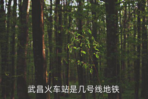 武昌火車站是幾號線地鐵