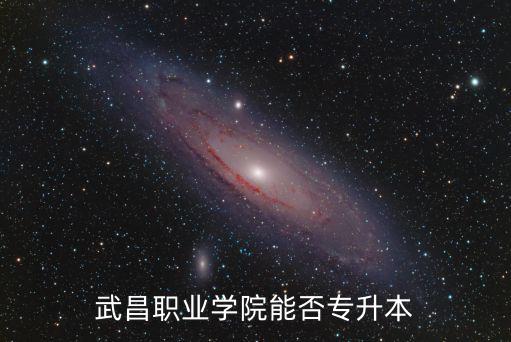 武昌職業學院能否專升本