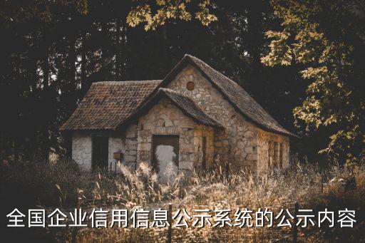 全國企業(yè)信用信，請問哪里可以查到全國的企業(yè)征信信息呢