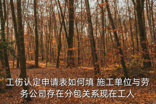 工傷認定申請表怎么填寫，個人申請工傷申請表怎樣寫