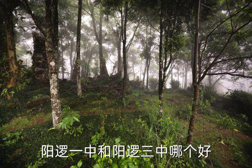 陽邏一中和陽邏三中哪個好