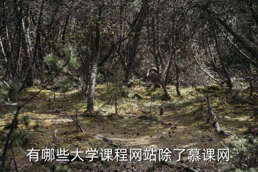 中國高校外語慕課平臺，中國大學mooc網頁版的設置在什么地方