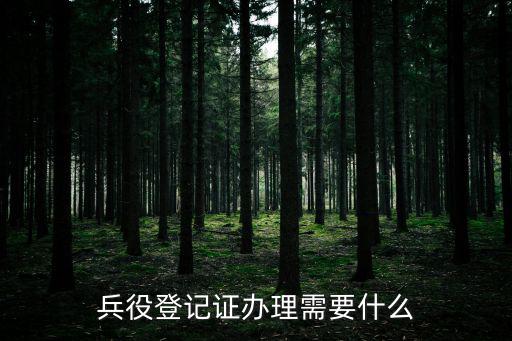 兵役登記證辦理需要什么