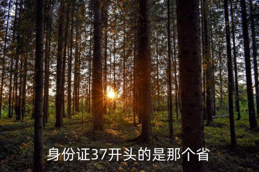 身份證37，身份證號37開頭是哪里