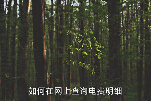 如何在網(wǎng)上查詢電費(fèi)明細(xì)