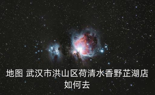 地圖 武漢市洪山區荷清水香野芷湖店如何去