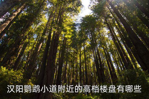 漢陽(yáng)鸚鵡小道附近的高檔樓盤有哪些
