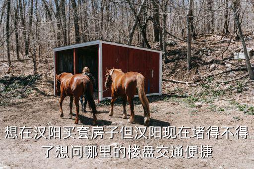 想在漢陽(yáng)買套房子但漢陽(yáng)現(xiàn)在堵得不得了想問(wèn)哪里的樓盤交通便捷