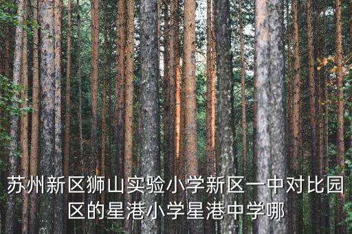 蘇州新區獅山實驗小學新區一中對比園區的星港小學星港中學哪