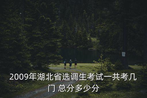 2009年湖北省選調生考試一共考幾門 總分多少分