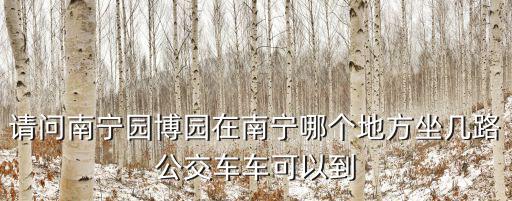 請問南寧園博園在南寧哪個地方坐幾路公交車車可以到