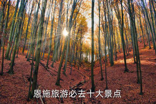 恩施旅游必去十大景點