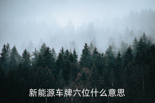新能源車牌d和f的區別，新能源車牌六位什么意思